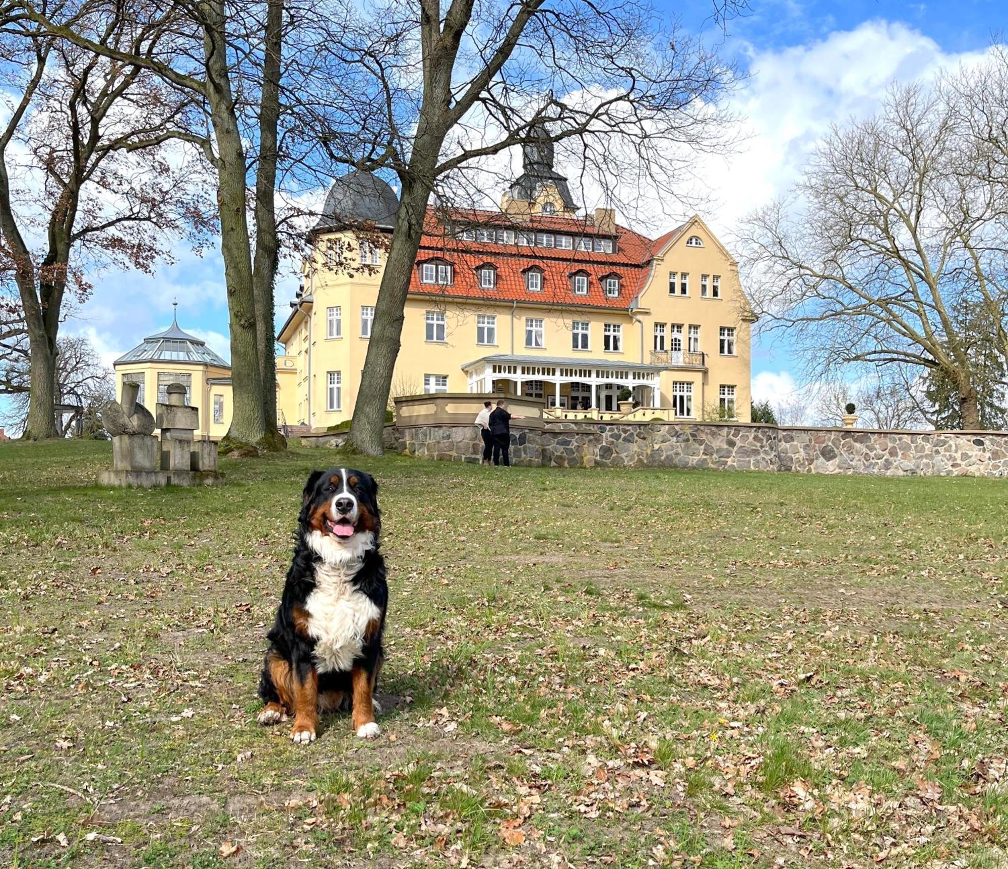 Wendorf  Bernsteinschloss מראה חיצוני תמונה